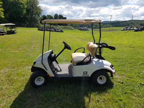 Golf Carts Unlimited, LLC Rentals